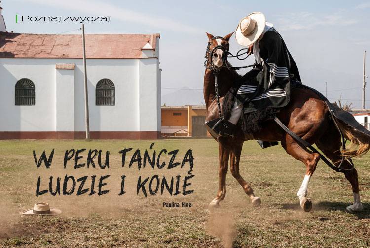 Losowy darmowy artykuł